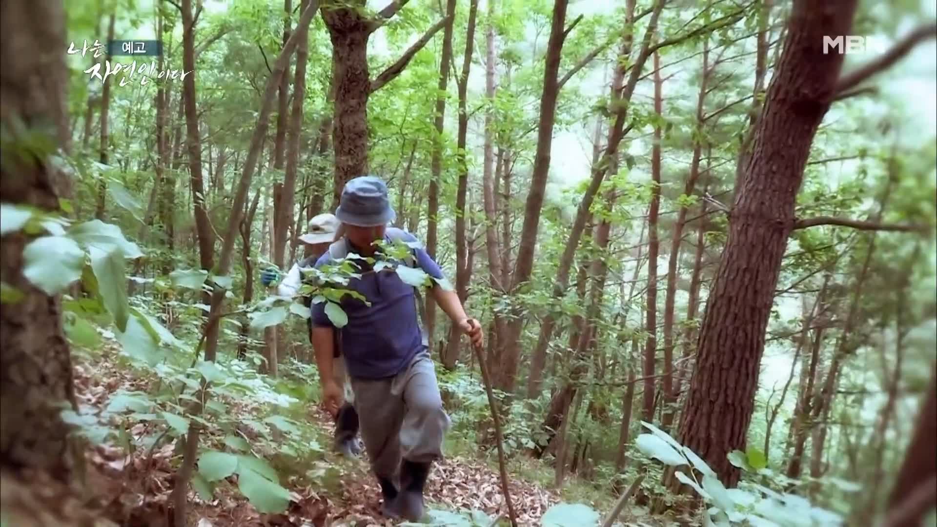 이승윤 윤택 나는 자연인이다 514회 제주 한라산 느림보 토끼로 삽니다! 자연인 안영글 소개 및 출연 다시보기