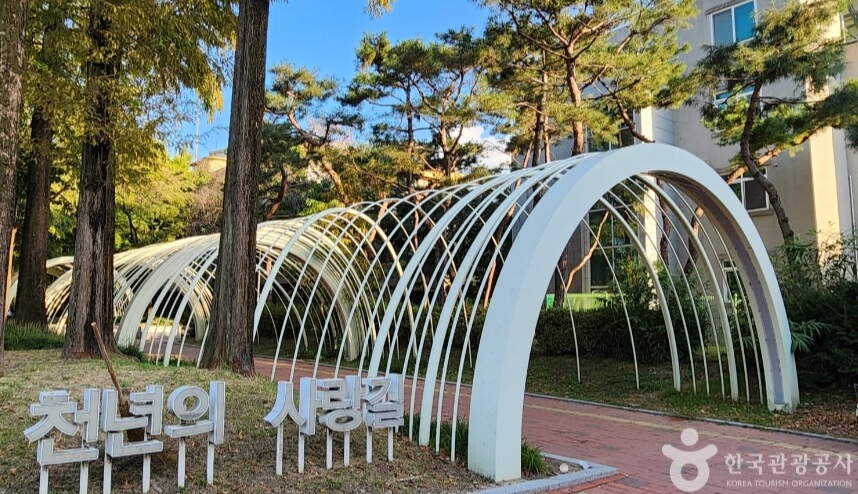 청주 가볼만한곳 베스트 10