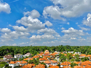 바쁜 하루 속, 하늘 한 번 보는 습관의 힘