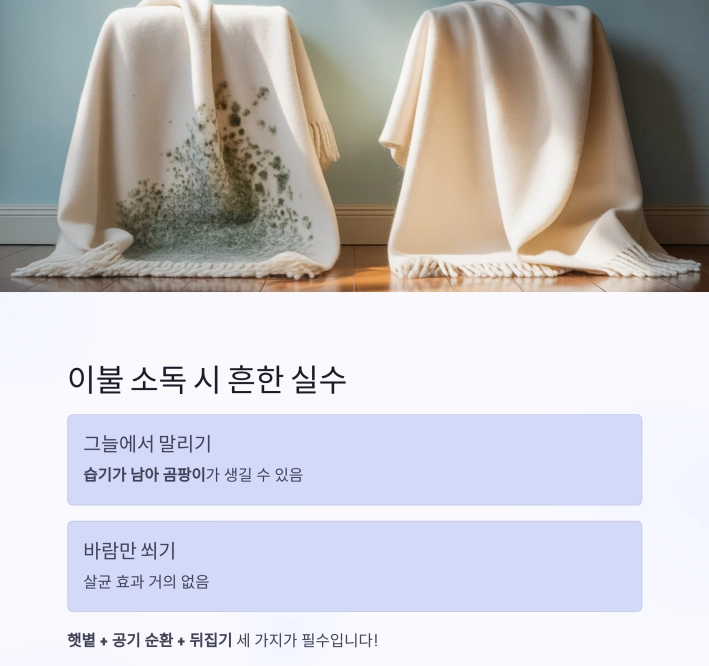 이불 소독, 햇볕만으론 부족하다 &ndash; 이불을 뒤집어 말려야 하는 과학적 이유