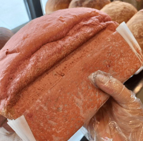 생방송오늘저녁 농부네빵집 경북 영천 호밀빵 터미널 빵집