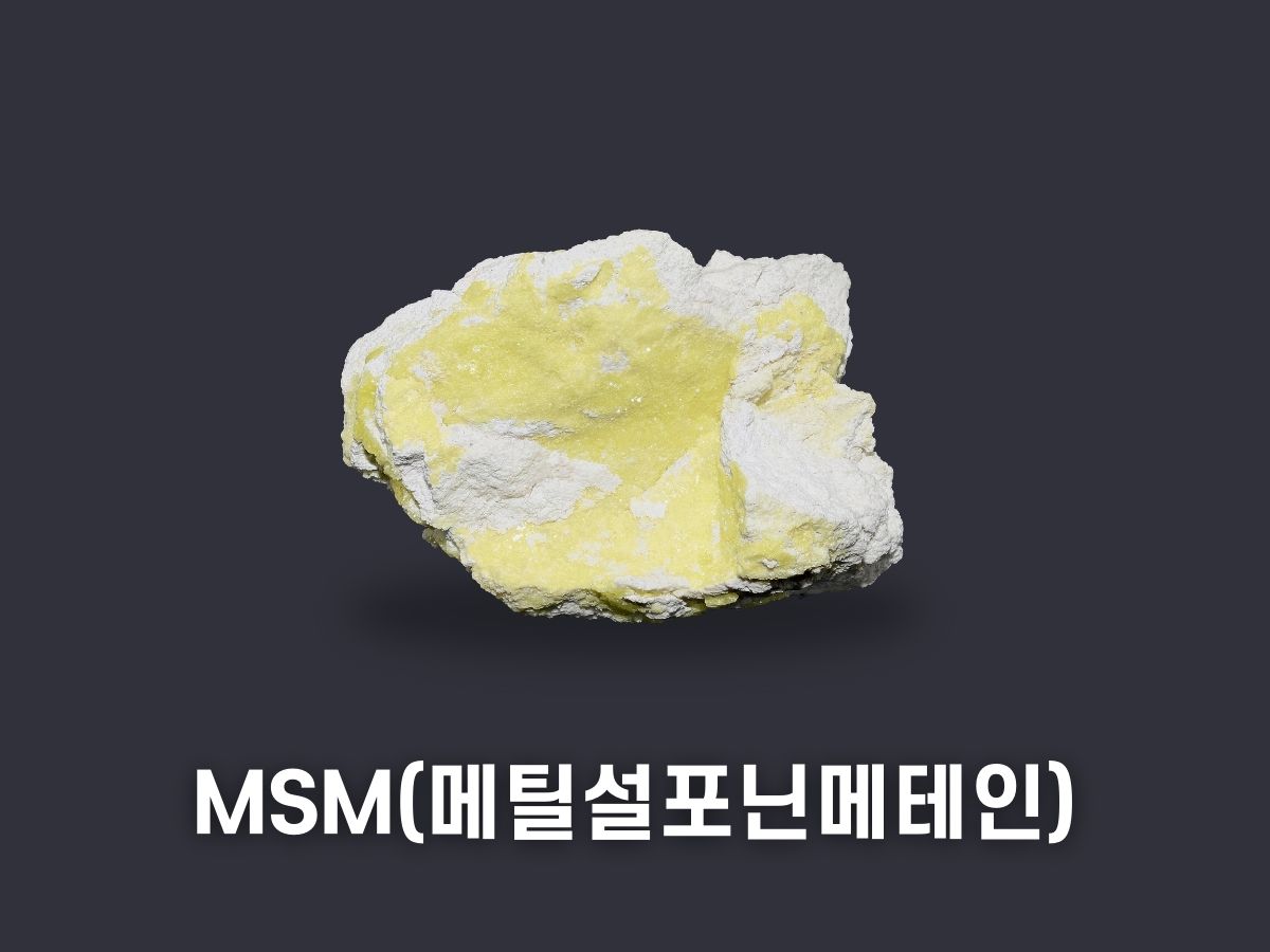msm이란