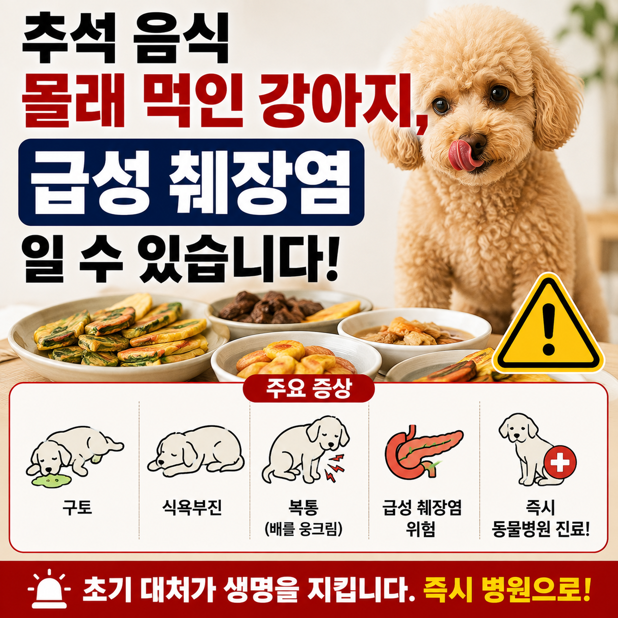 급성 췌장염