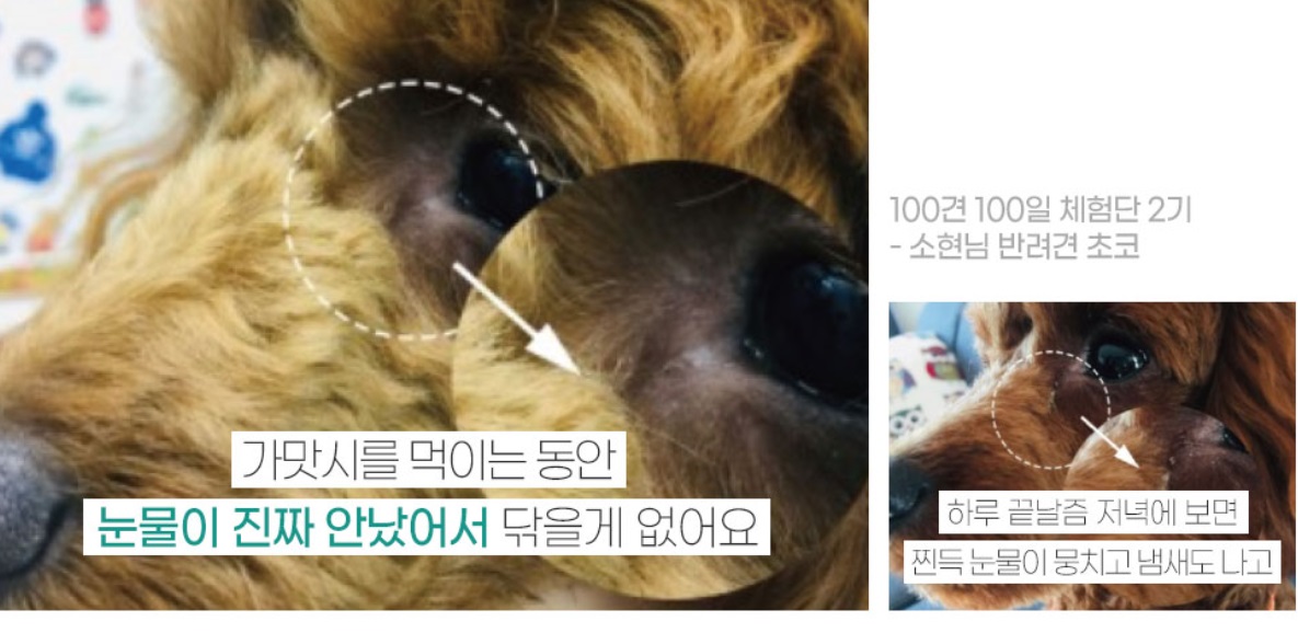 극한직업-펫푸드공장