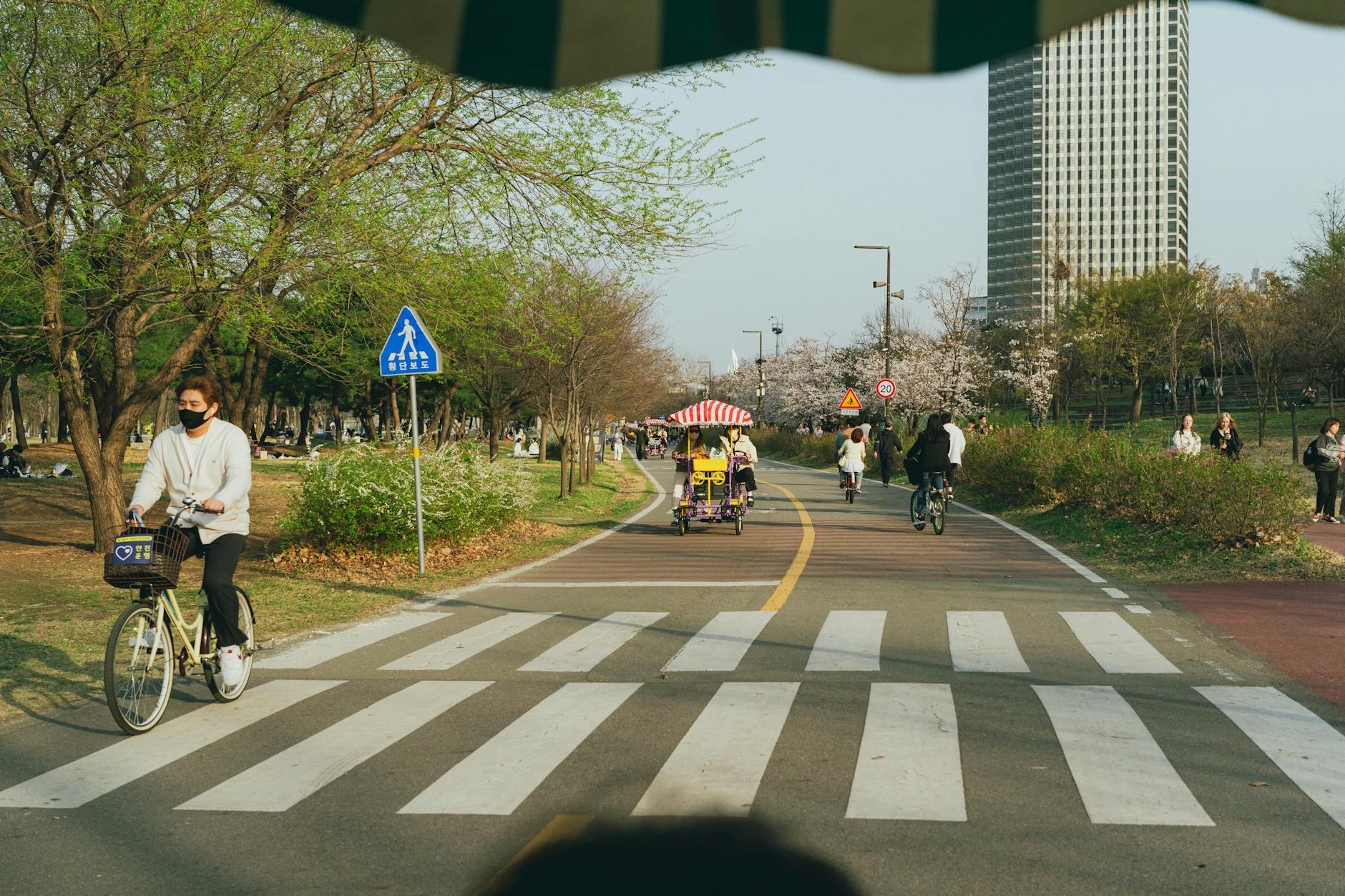 서울대공원 서울랜드 부처님오신날 5월 24일 가족 주차 완벽 가이드 &mdash; 동물원&middot;놀이공원 코스별 추천 - 주변 환경