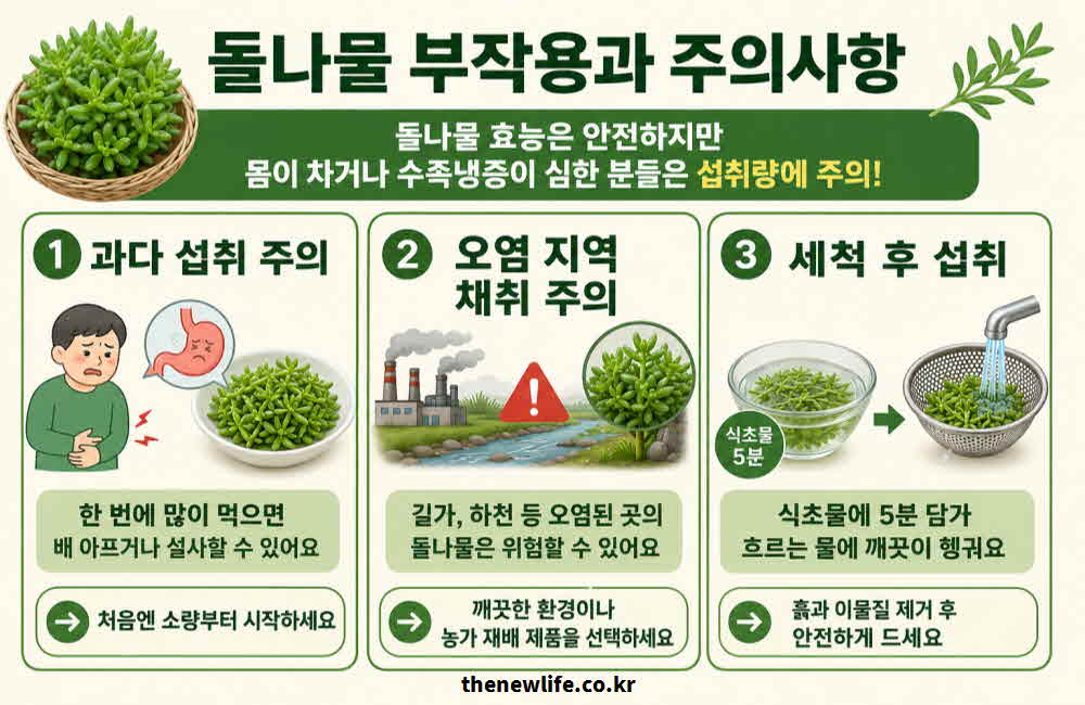 돌나물 효능 부작용 주의사항