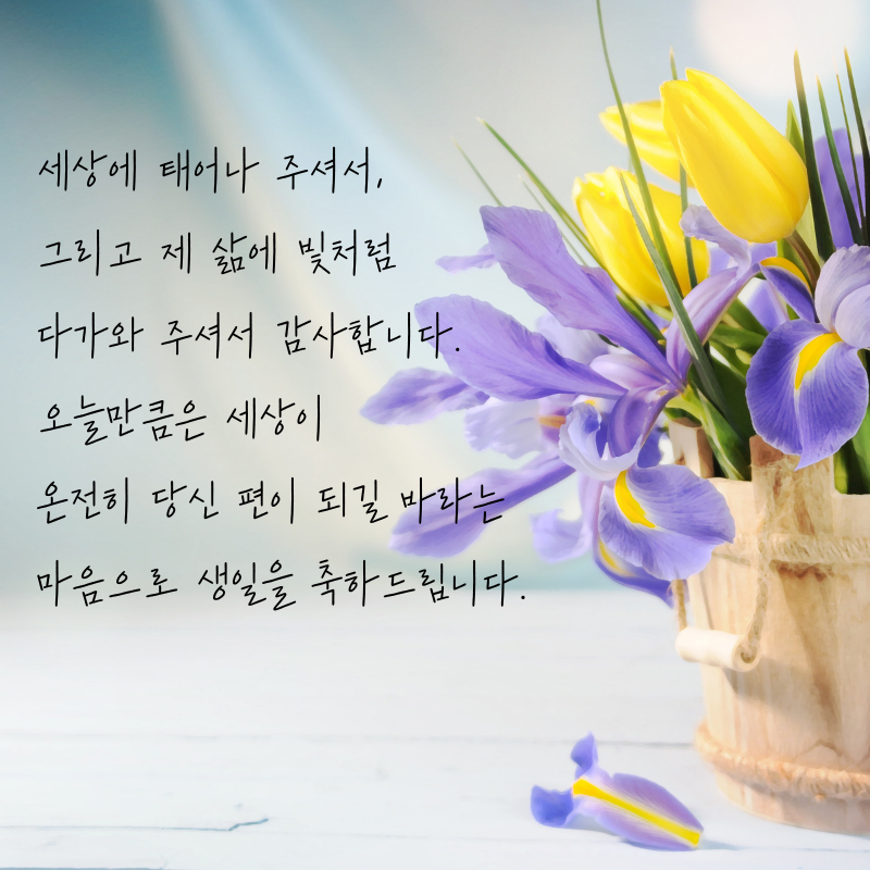 센스있는 생일축하 문구 이미지 메세지 모음