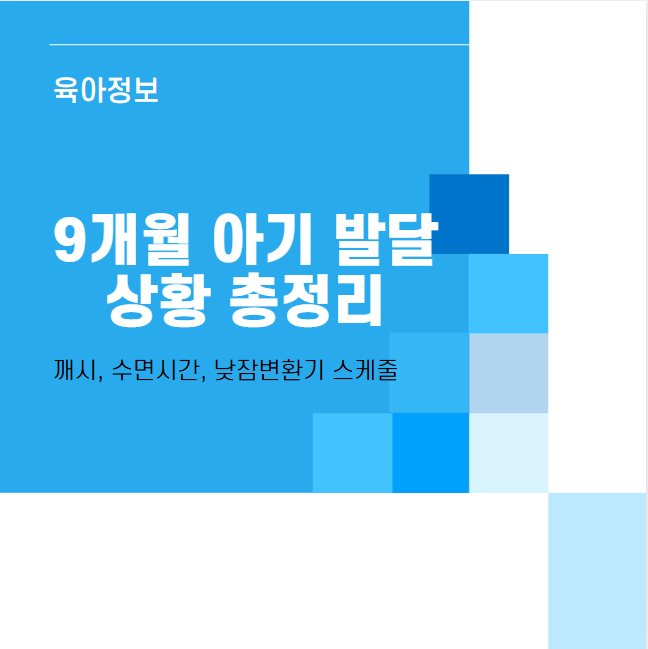 9개월 아기 발달 상황 총정리(깨시, 수면시간, 낮잠변환기 스케줄)