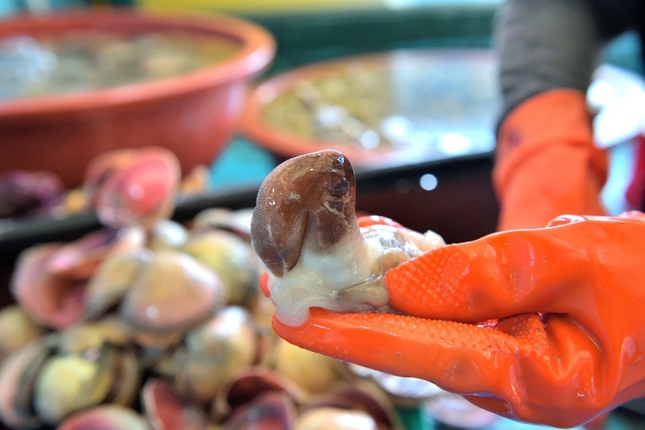 홍성남당항 새조개축제 행사소개&amp;#44; 축제안내&amp;#44; 관련영상