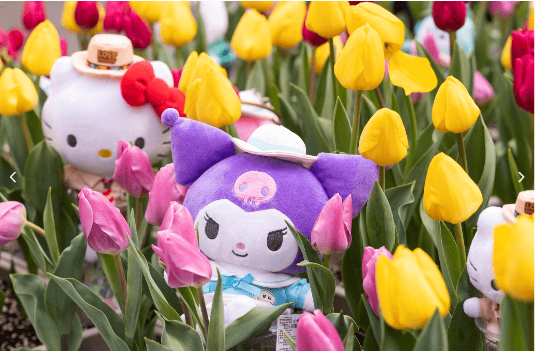 에버랜드 튤립축제