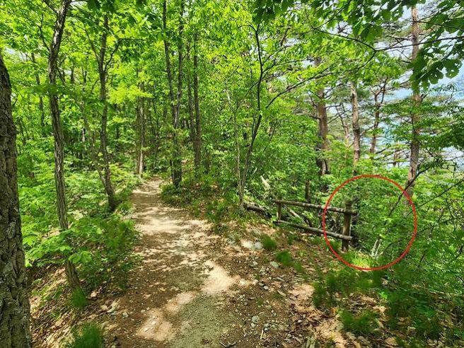 주왕산 추락 손상 실종 초등학생 사망 원인 분석 및 산행 안전 수칙