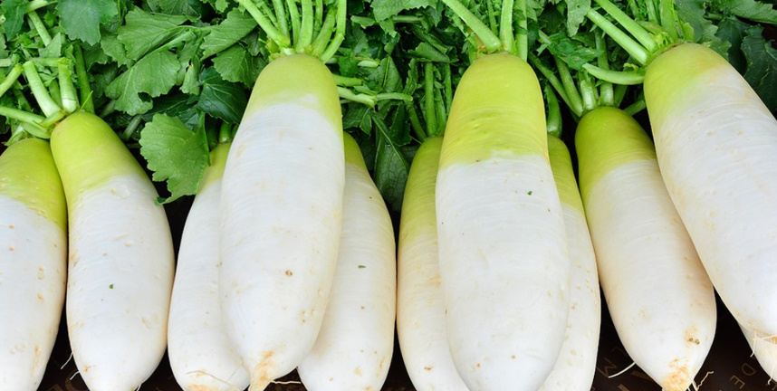 무가 쌓여 있다