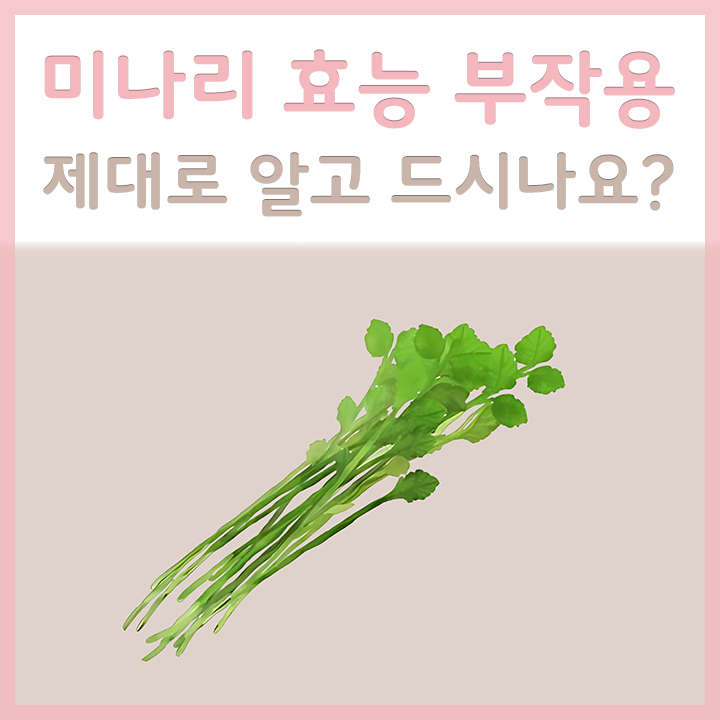미나리