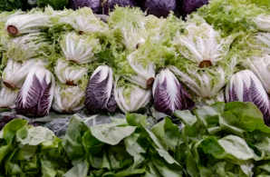 매콤한 소갈비찜과 달큰한 봄동의 만남, 동인동 찜갈비 제대로 즐기기