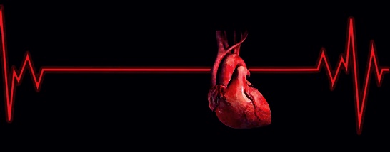 심장-이미지