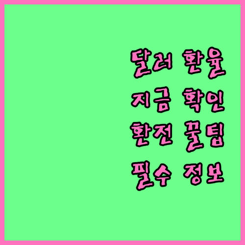 실시간 달러 시세 확인 필수 정보 변