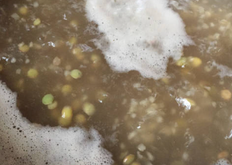 렌틸콩 효능 먹는 방법 밥하는 법 삶는 법 렌틸콩 요리법 부작용