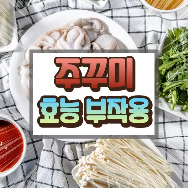 주꾸미 효능 부작용