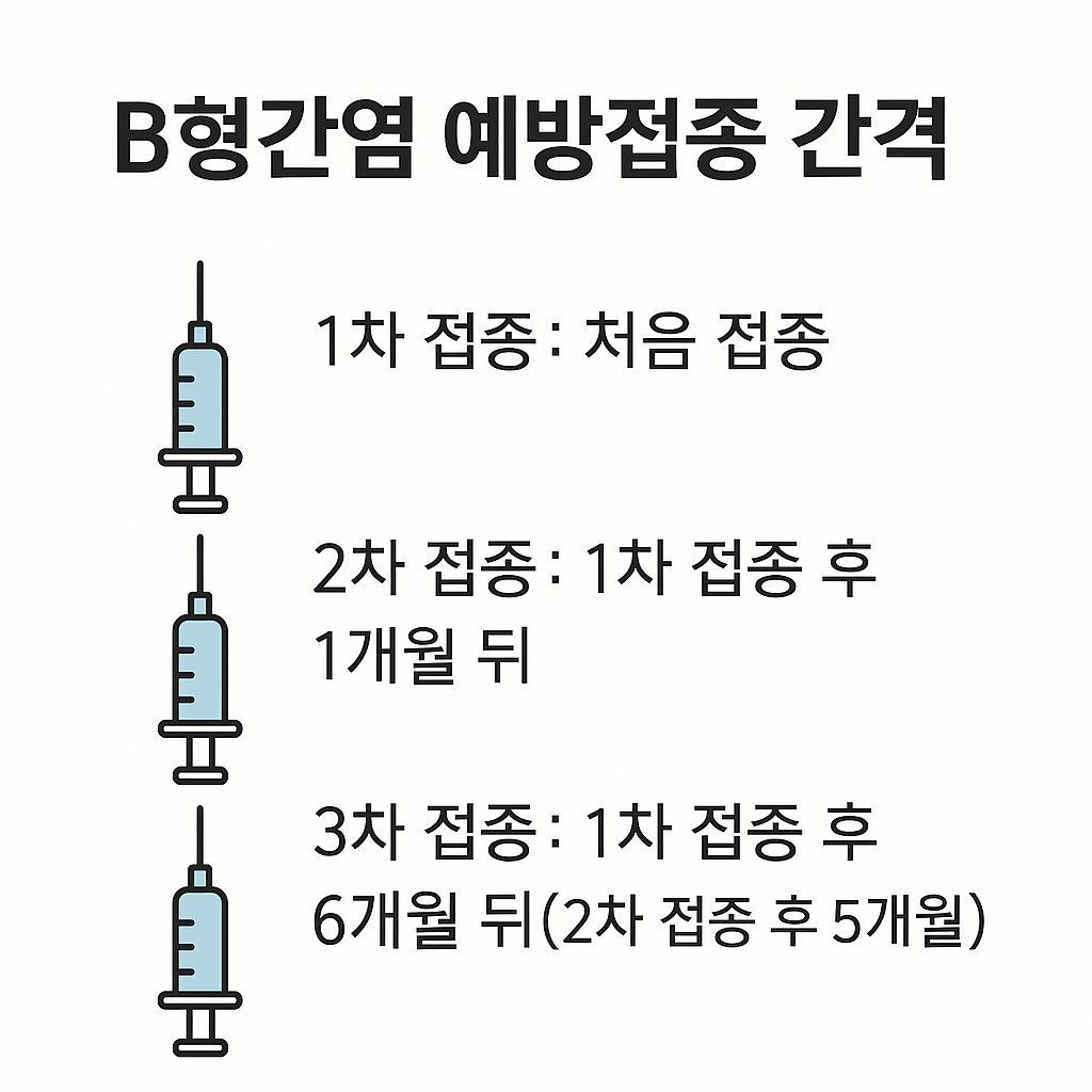 B형간염 예방접종 간격