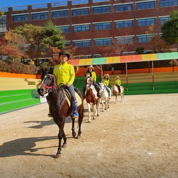 강화도자연체험농장