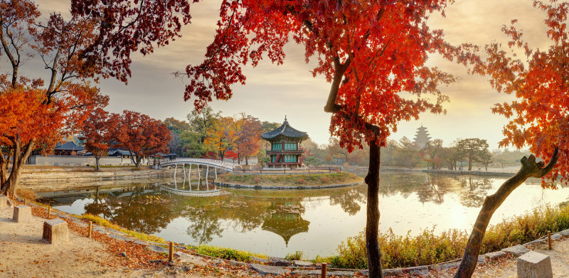 경복궁 별빛야행 예매