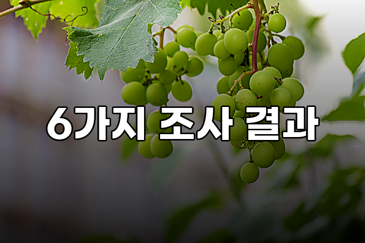 6가지 조사 결과