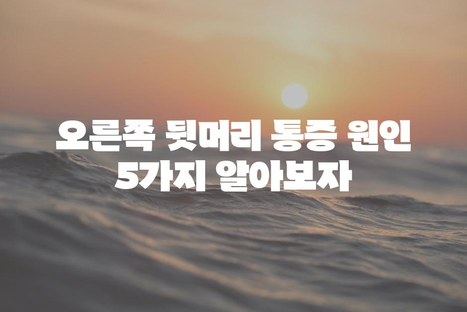 샘플 (88)