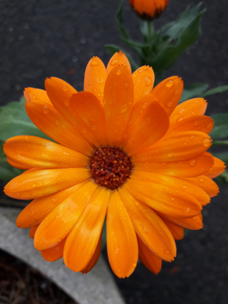 한국의 반전 감성 영화 관련 사진