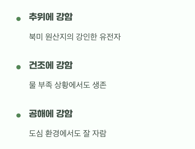 척박한 땅에서도 살아남는 강인함