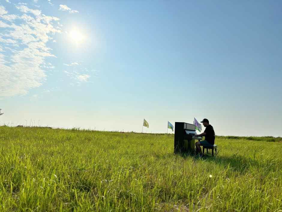 진봉새만금보리밭축제 2026 일정