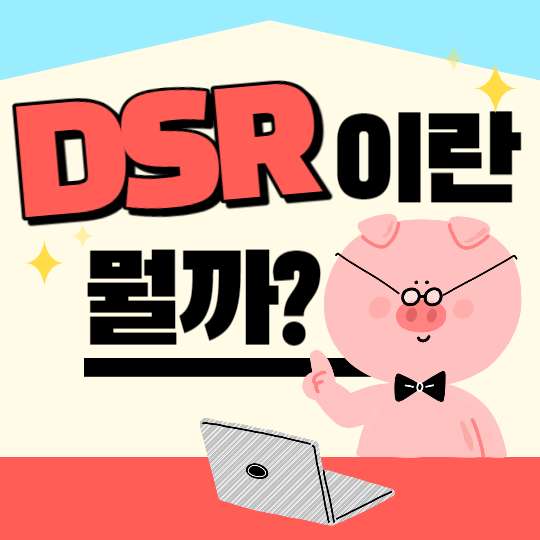 DSR이란