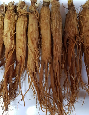 홍삼 사진