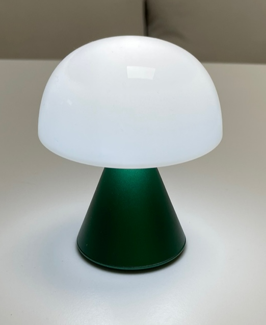 렉슨 미나 조명