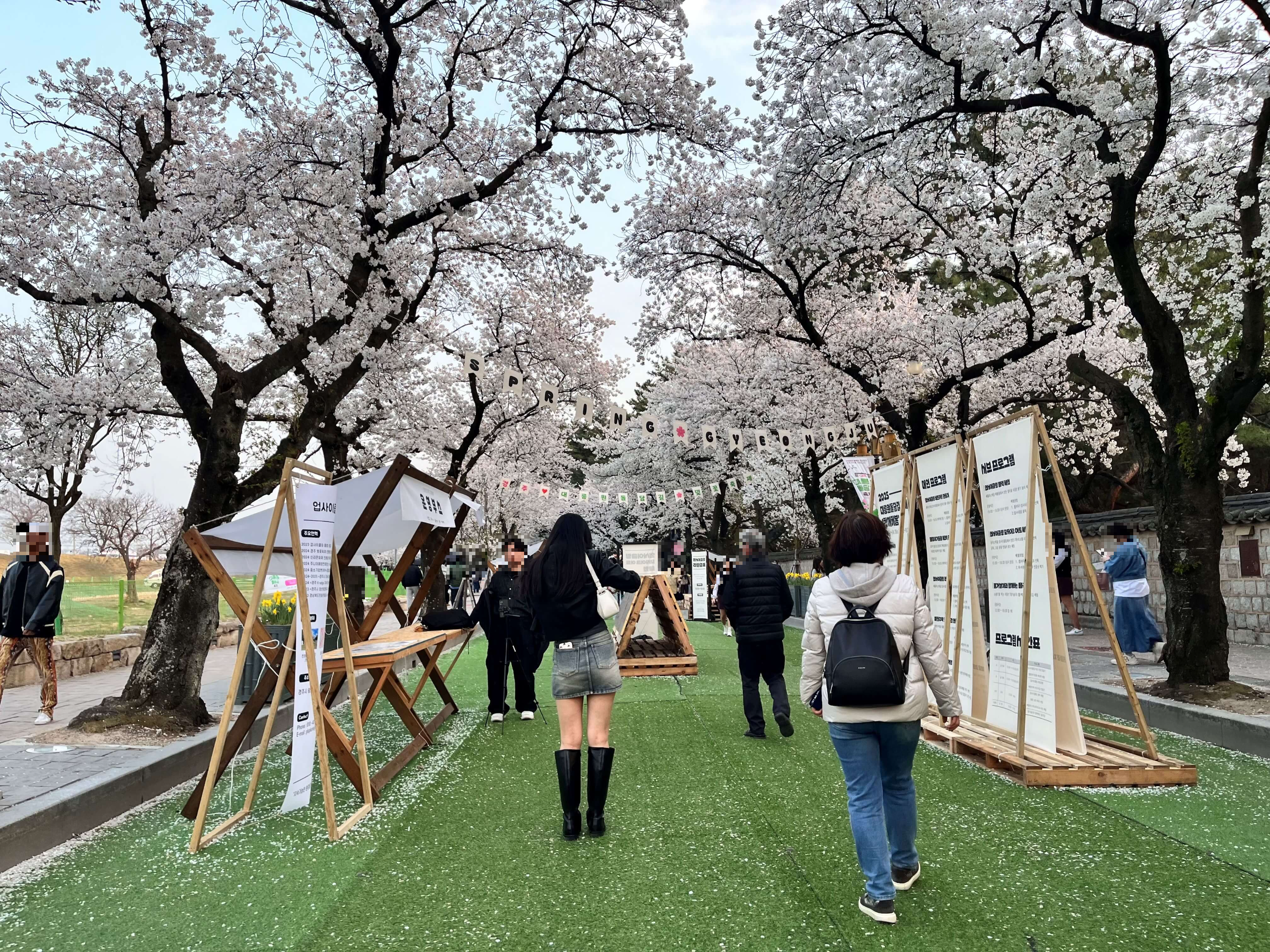 대릉원 돌담길에서 벚꽃구경