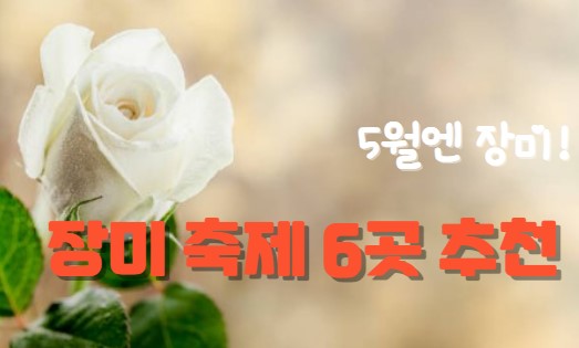 장미축제