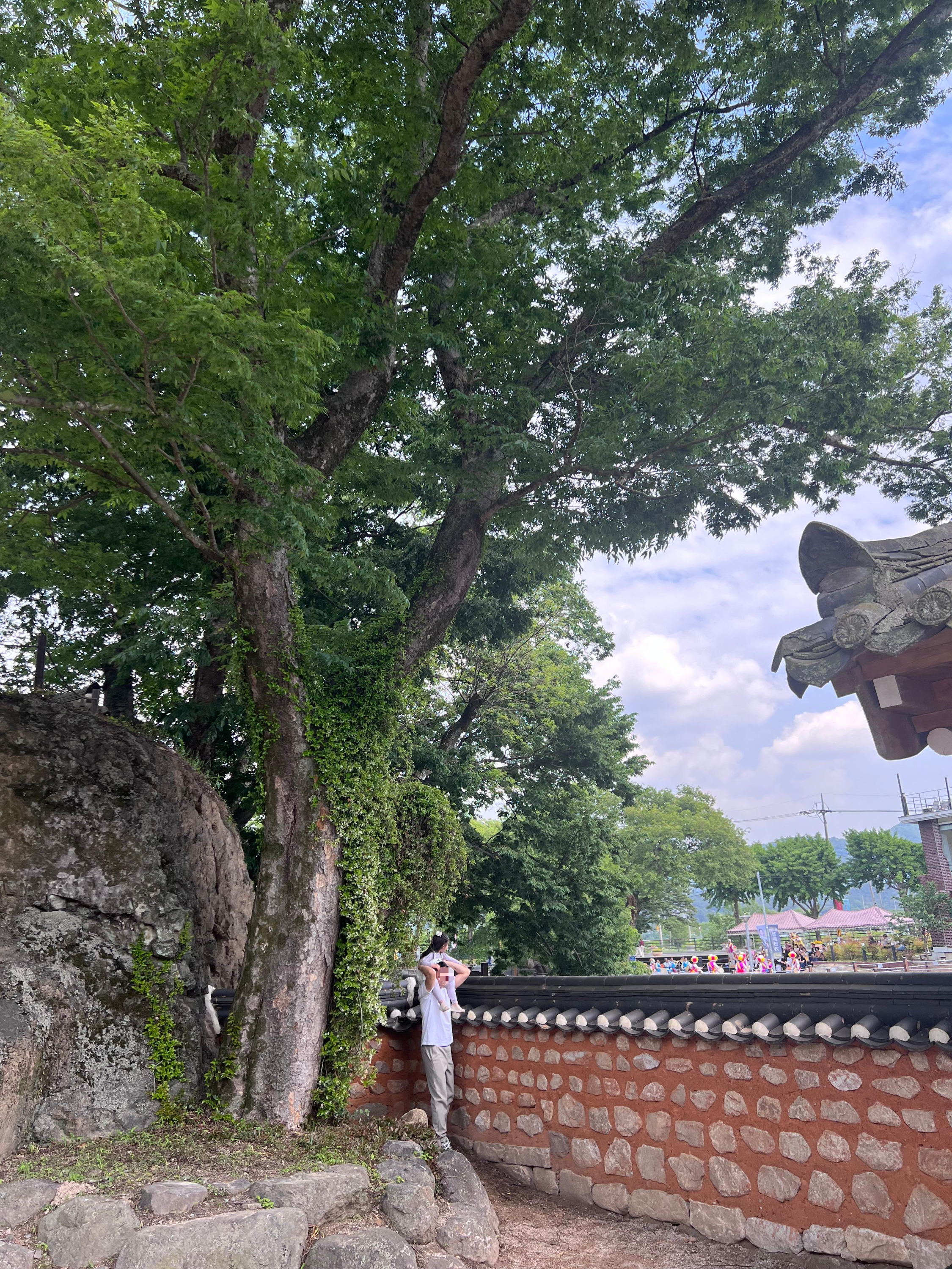함안무진정, 무진정근처가볼만한곳, 무진정포토샷