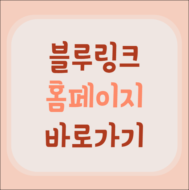 블루링크 홈페이지 바로가기
