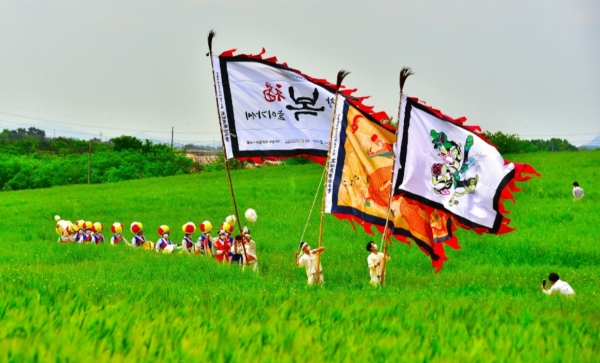 고창 청보리밭 축제