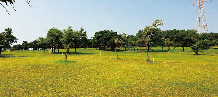 전라남도 영광 한빛파크골프장 소개