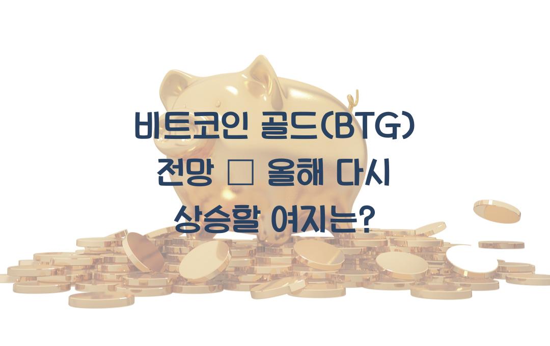 비트코인 골드(BTG) 전망 – 다시 상승할 가능성은?