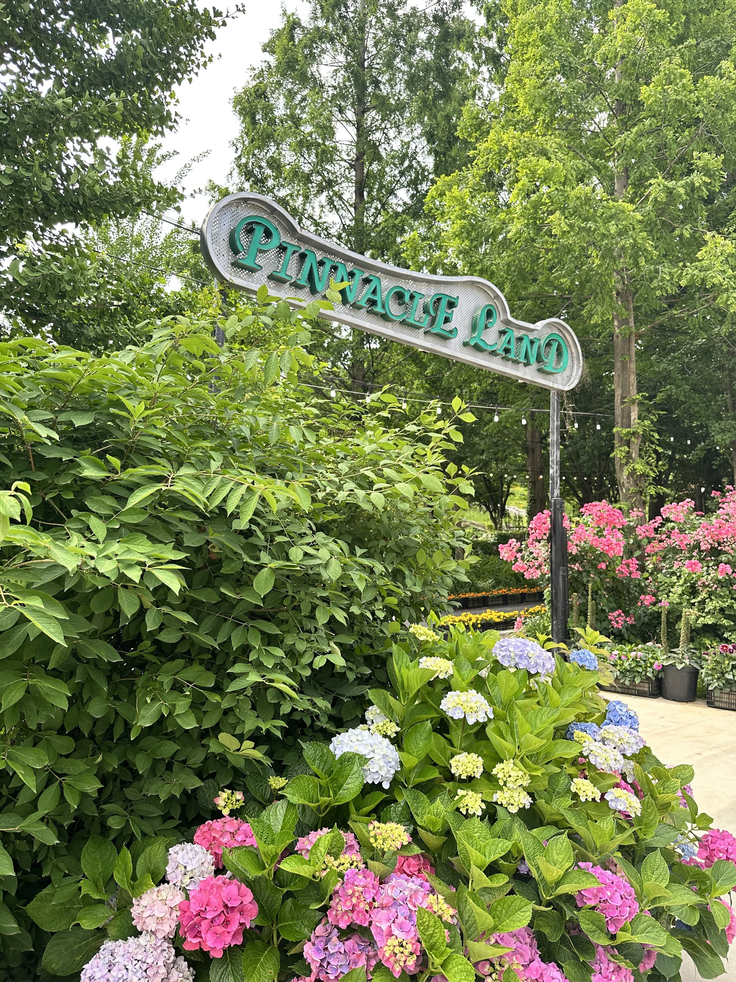 [충남 논산]사계절 내내 머물고 싶은 곳, 피나클랜드 수목원 이야기