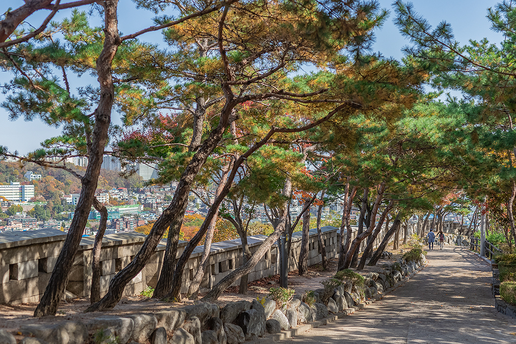 혜화문
성북동
한양도성길
백악구간
서울여행
서울단풍
가을단풍
단풍
성벽
와룡공원
