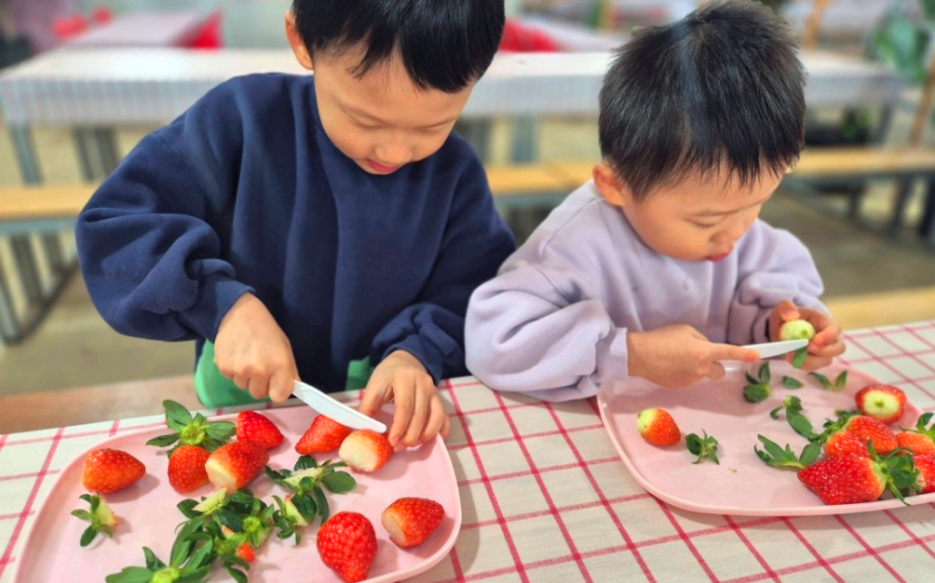율봄식물원 딸기 수확 체험