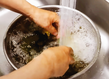 시래기 찬물샤워