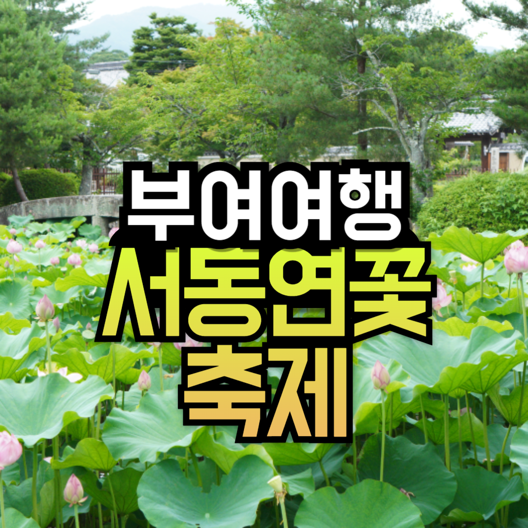 부여 서동연꽃축제 기본정보 초대가수