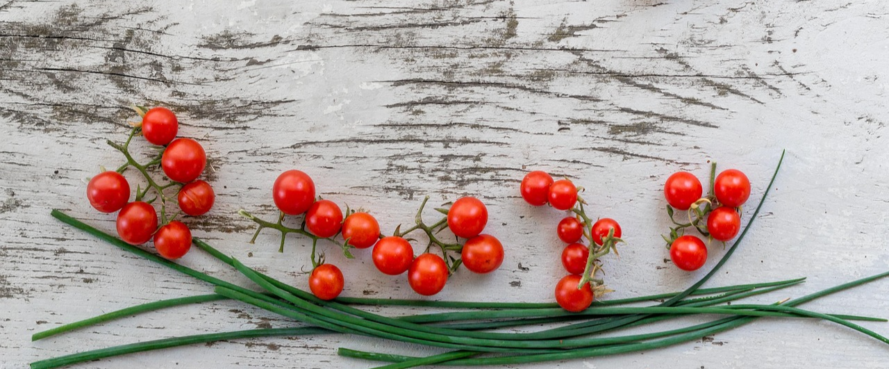 다이어트와 면역력에 좋은 토마토