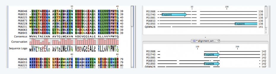 Molecular Biology
