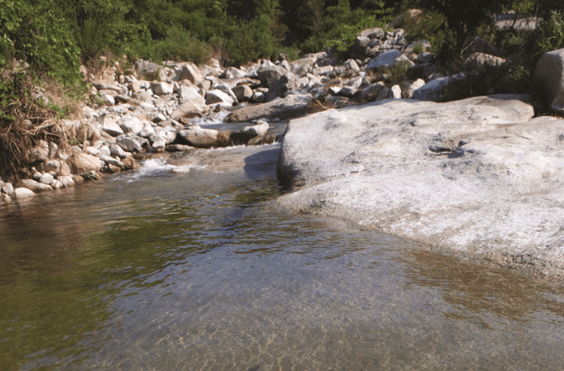군위군 동산계곡