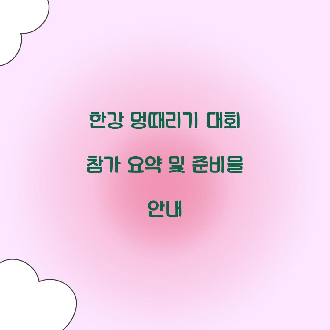 한강 멍때리기 대회