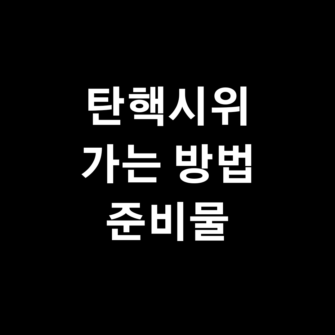 여의도 탄핵 시위 가는 법과 준비사항 안내